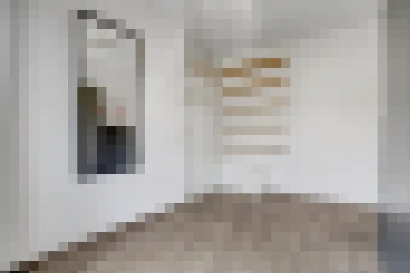 Aardbeivlinder 31 Tiel thumbnail 16