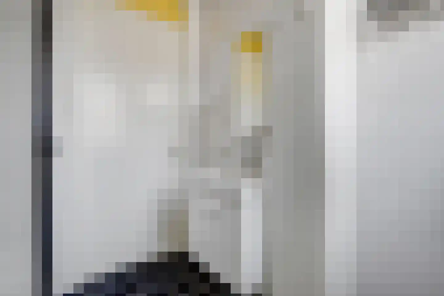 Aardbeivlinder 31 Tiel thumbnail 22