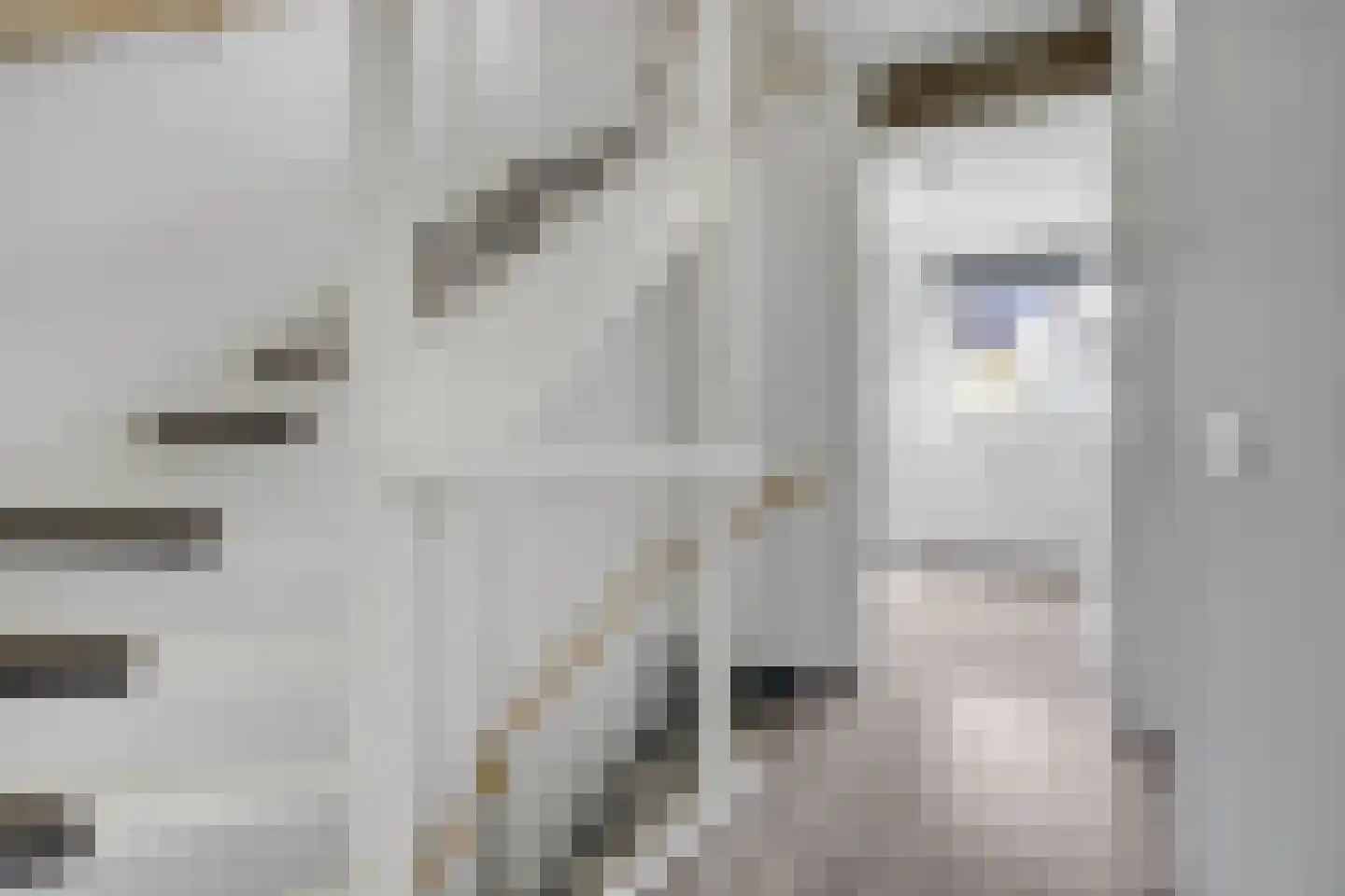 Aardbeivlinder 31 Tiel thumbnail 23