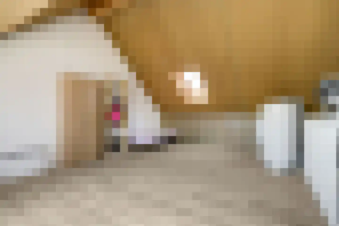 Aardbeivlinder 31 Tiel thumbnail 24
