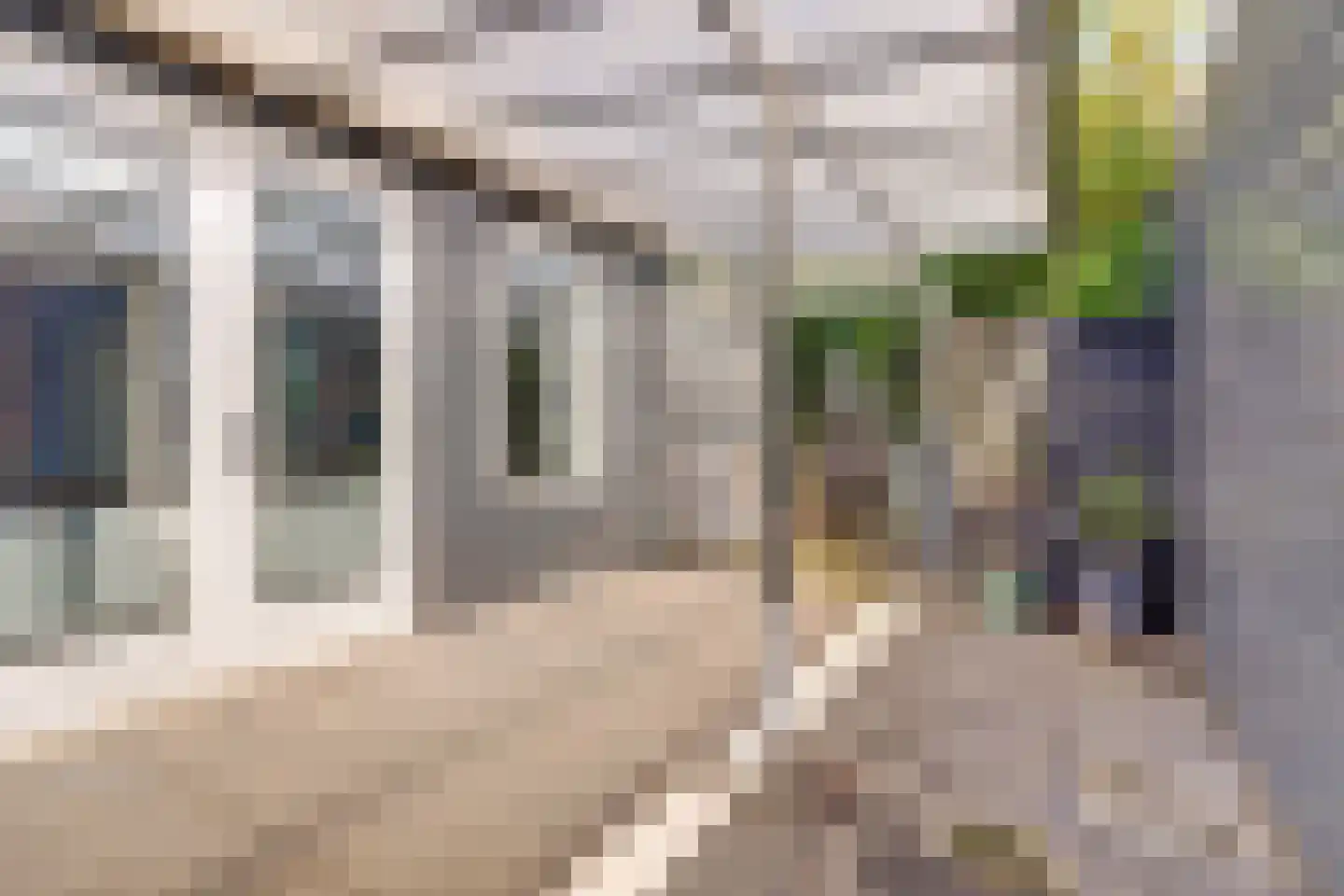 Aardbeivlinder 31 Tiel thumbnail 26