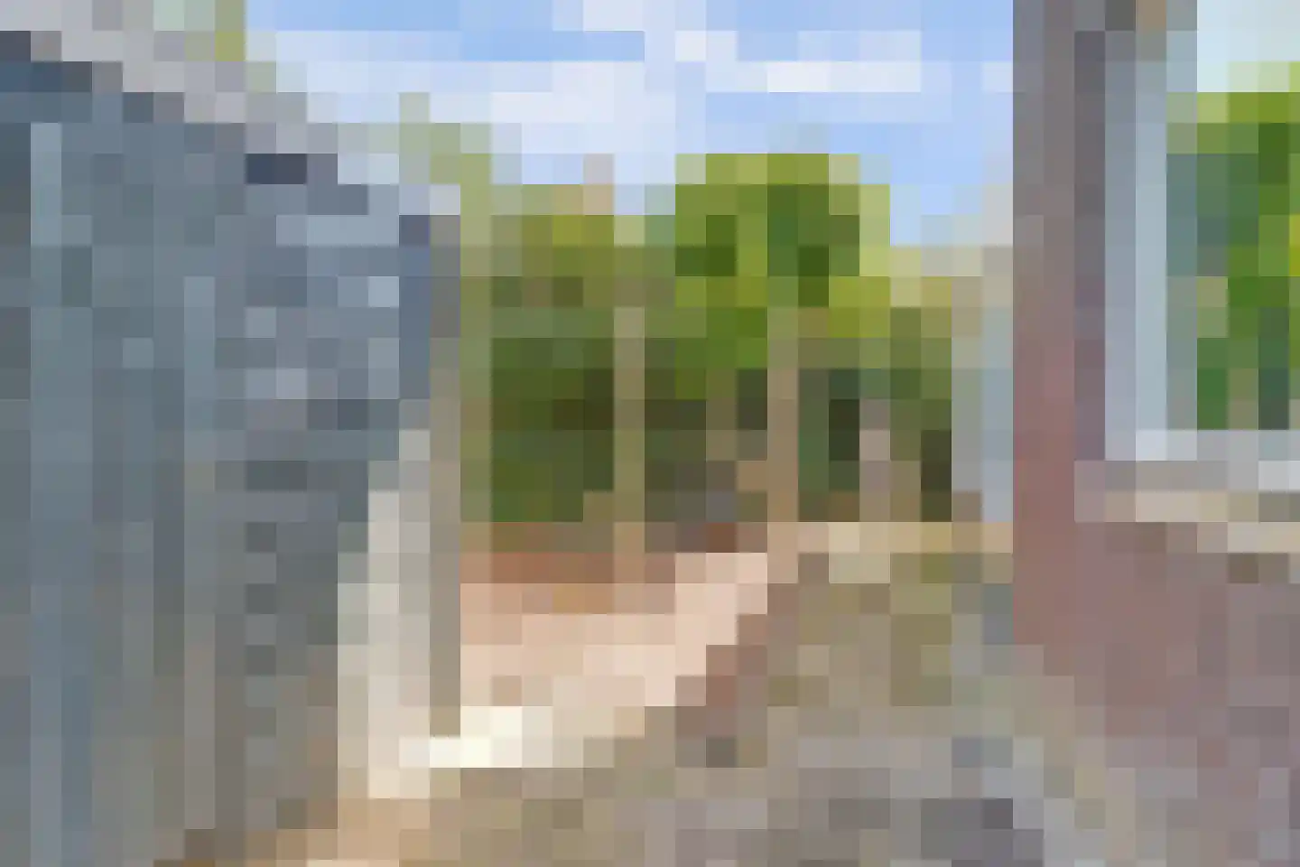 Aardbeivlinder 31 Tiel thumbnail 27