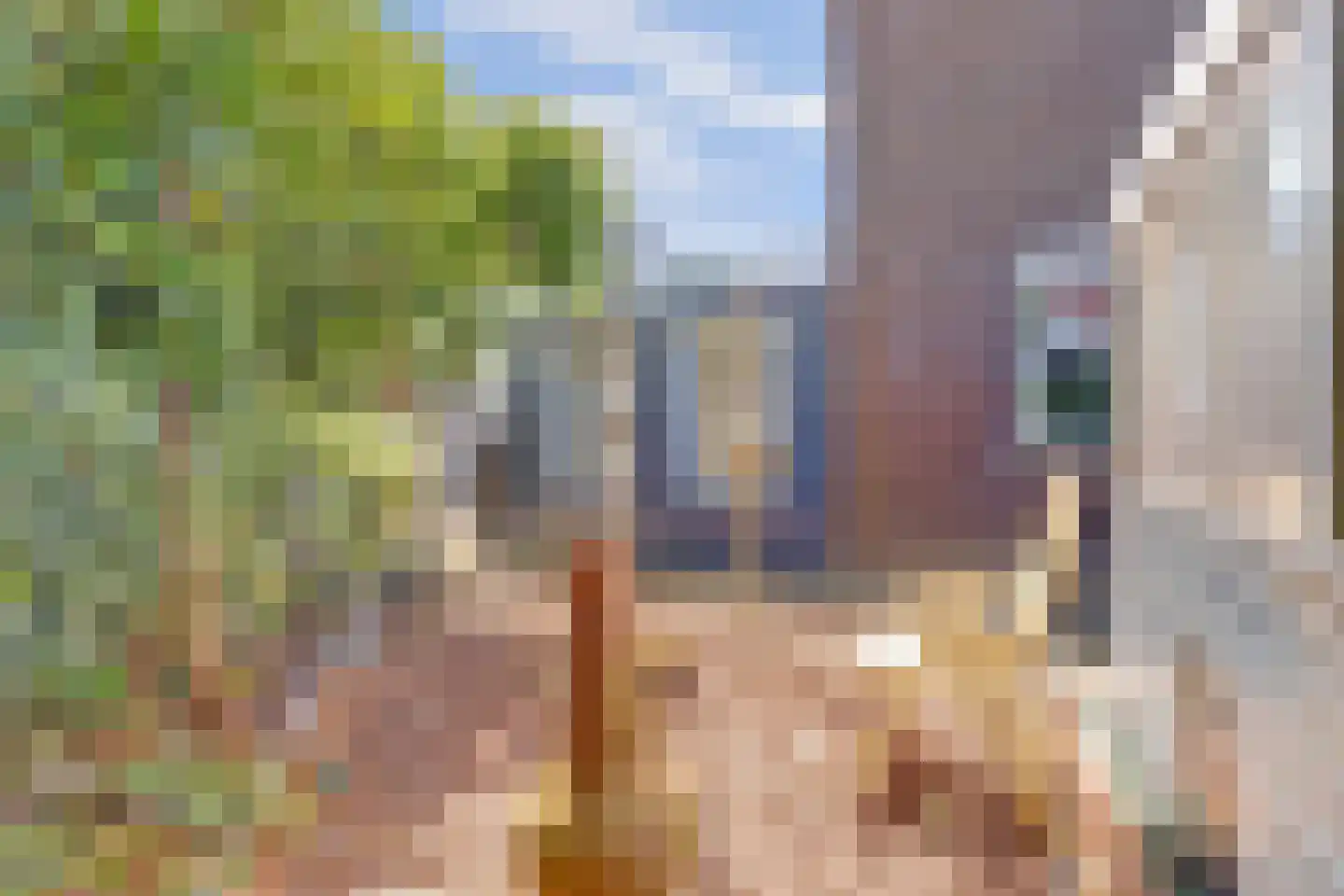 Aardbeivlinder 31 Tiel thumbnail 28