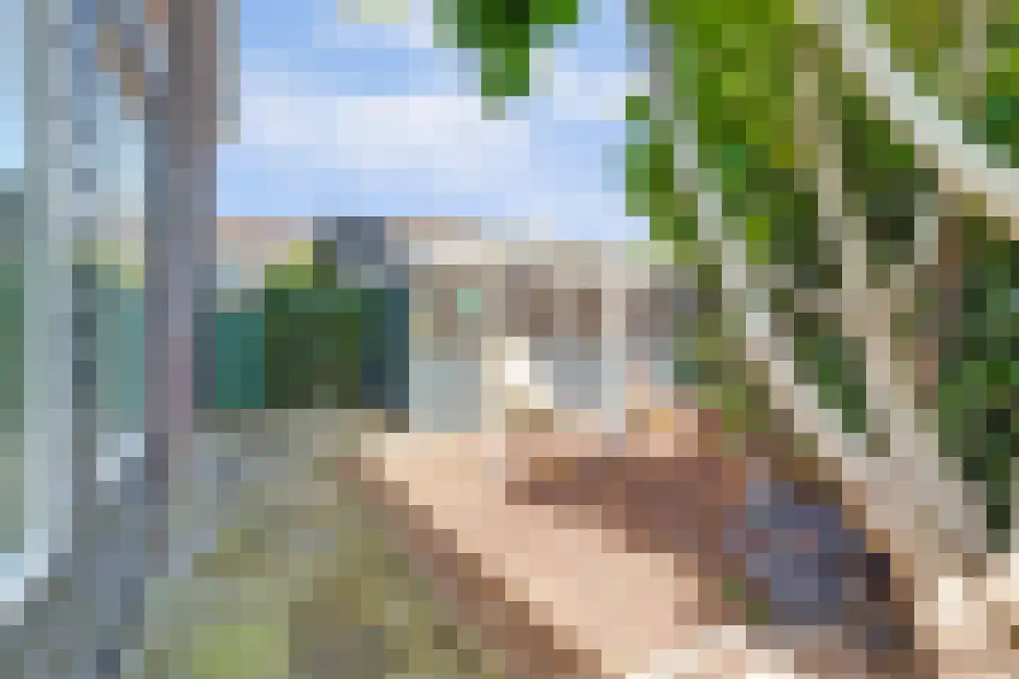 Aardbeivlinder 31 Tiel thumbnail 29