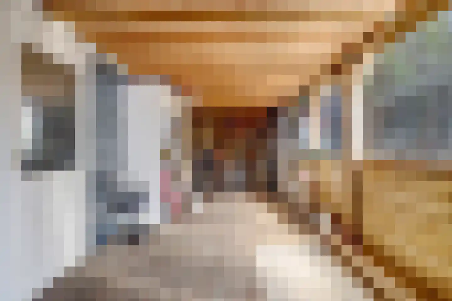 Aardbeivlinder 31 Tiel thumbnail 31
