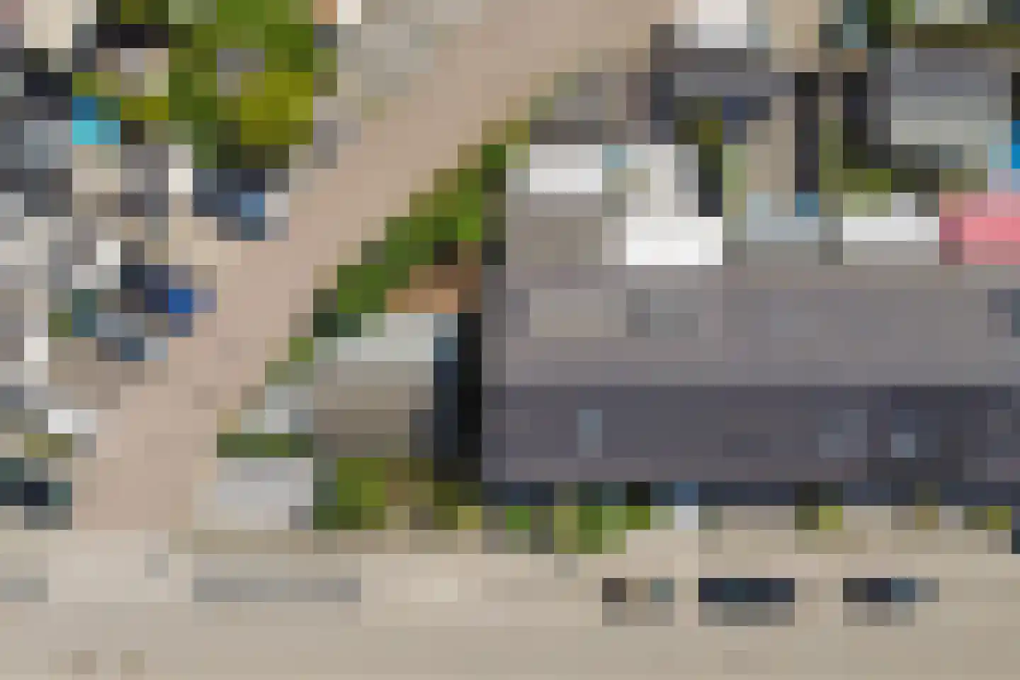 Aardbeivlinder 31 Tiel thumbnail 38