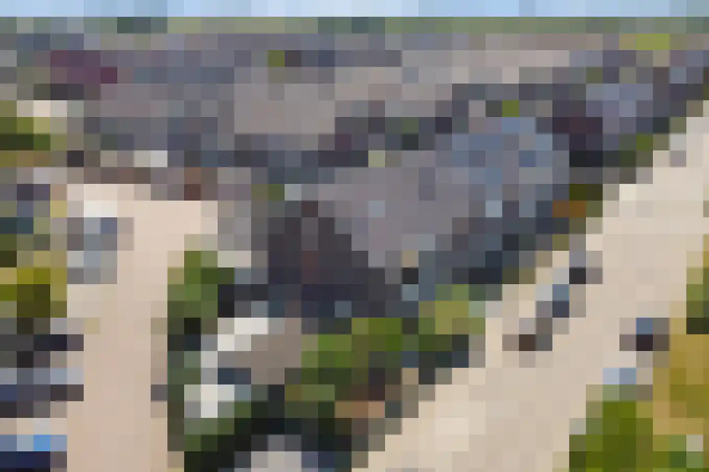 Aardbeivlinder 31 Tiel thumbnail 39