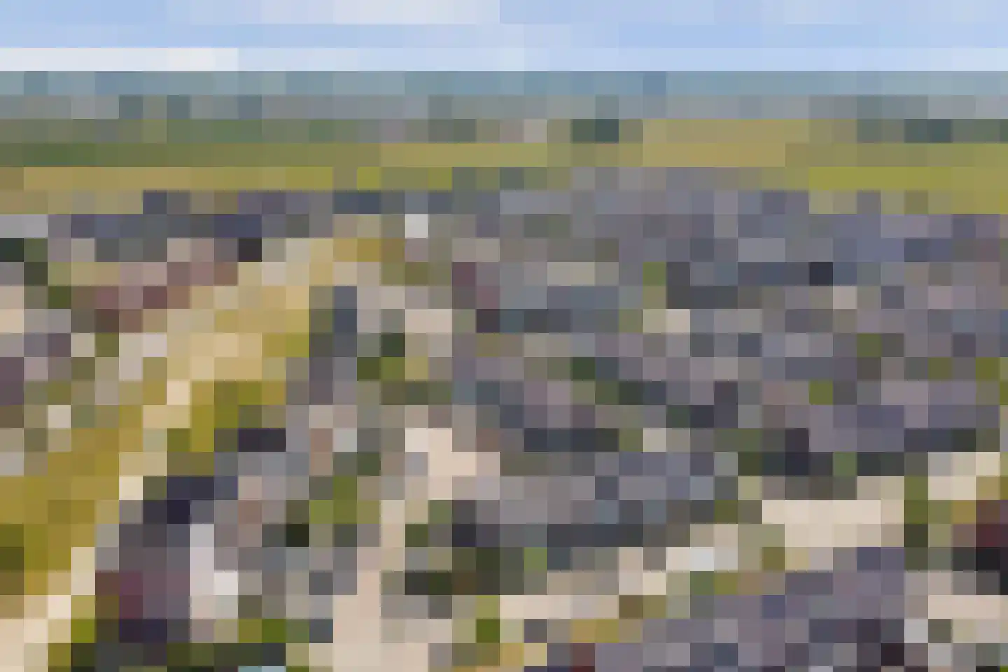 Aardbeivlinder 31 Tiel thumbnail 40