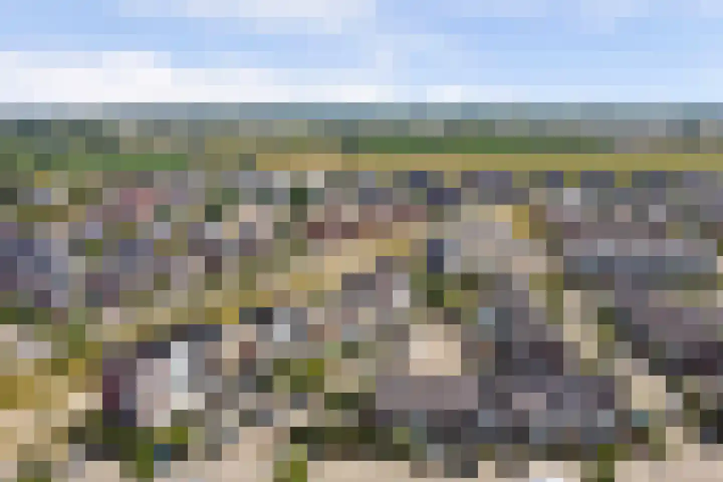 Aardbeivlinder 31 Tiel thumbnail 44