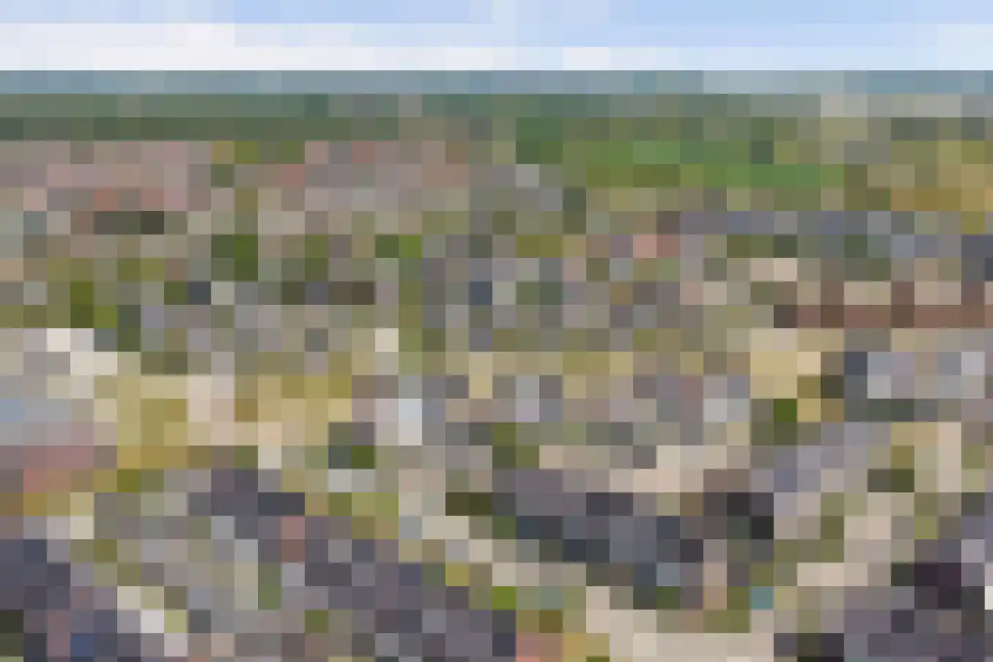 Aardbeivlinder 31 Tiel thumbnail 46