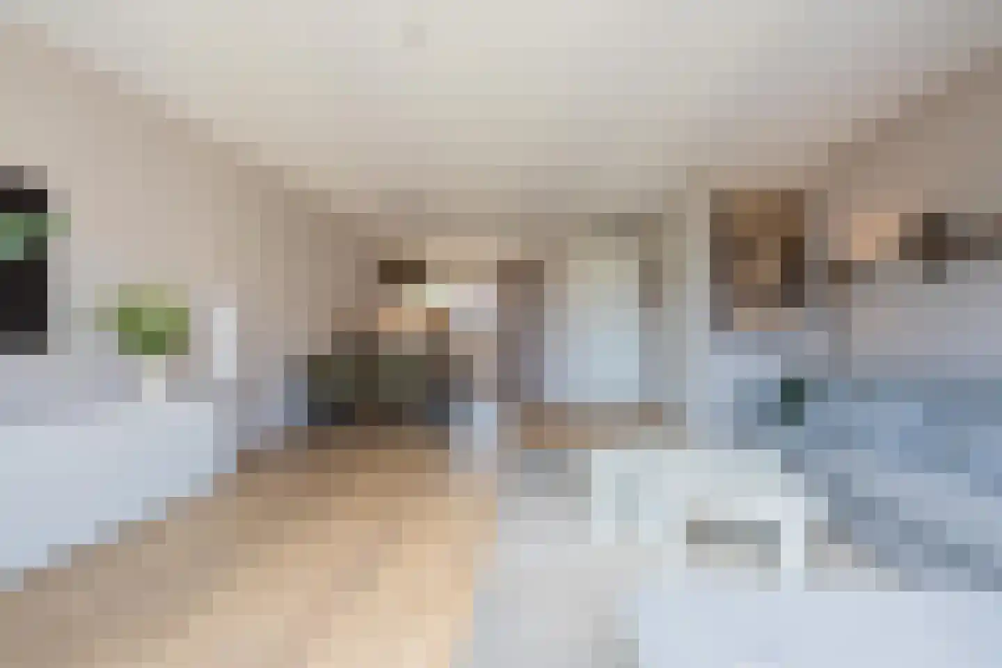 Aardbeivlinder 35 Tiel thumbnail 14