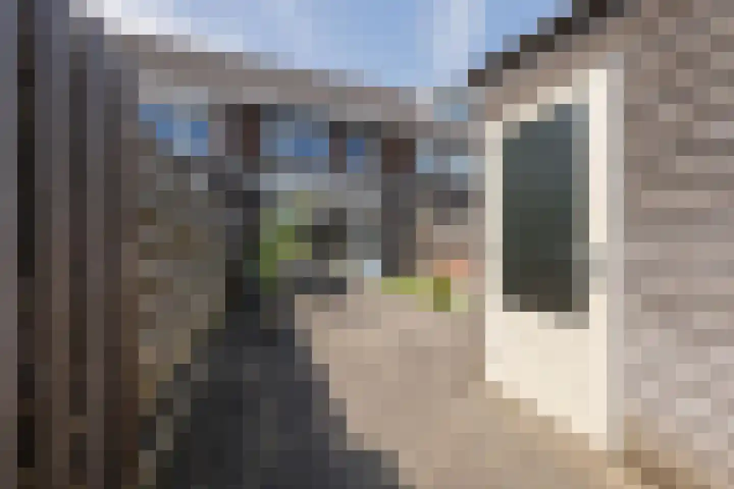 Aardbeivlinder 35 Tiel thumbnail 31