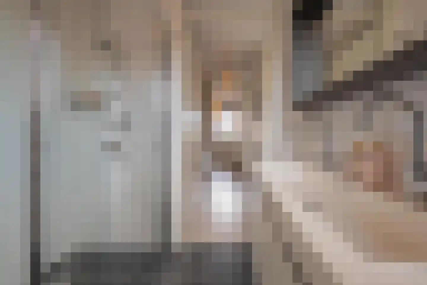 Aardbeivlinder 35 Tiel thumbnail 46