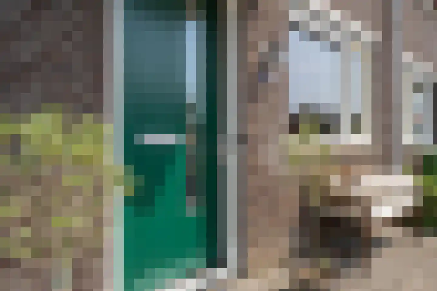 Aardbeivlinder 35 Tiel thumbnail 9