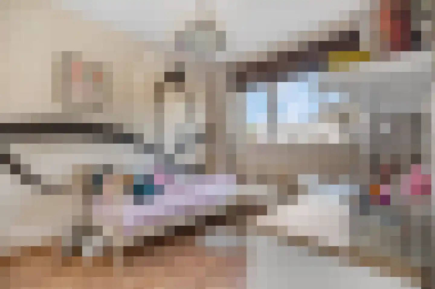 Aardbeivlinder 39 Tiel thumbnail 20