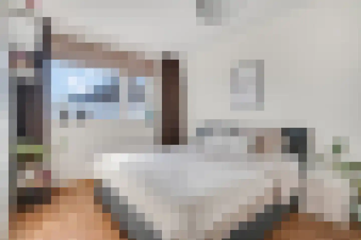 Aardbeivlinder 39 Tiel thumbnail 21