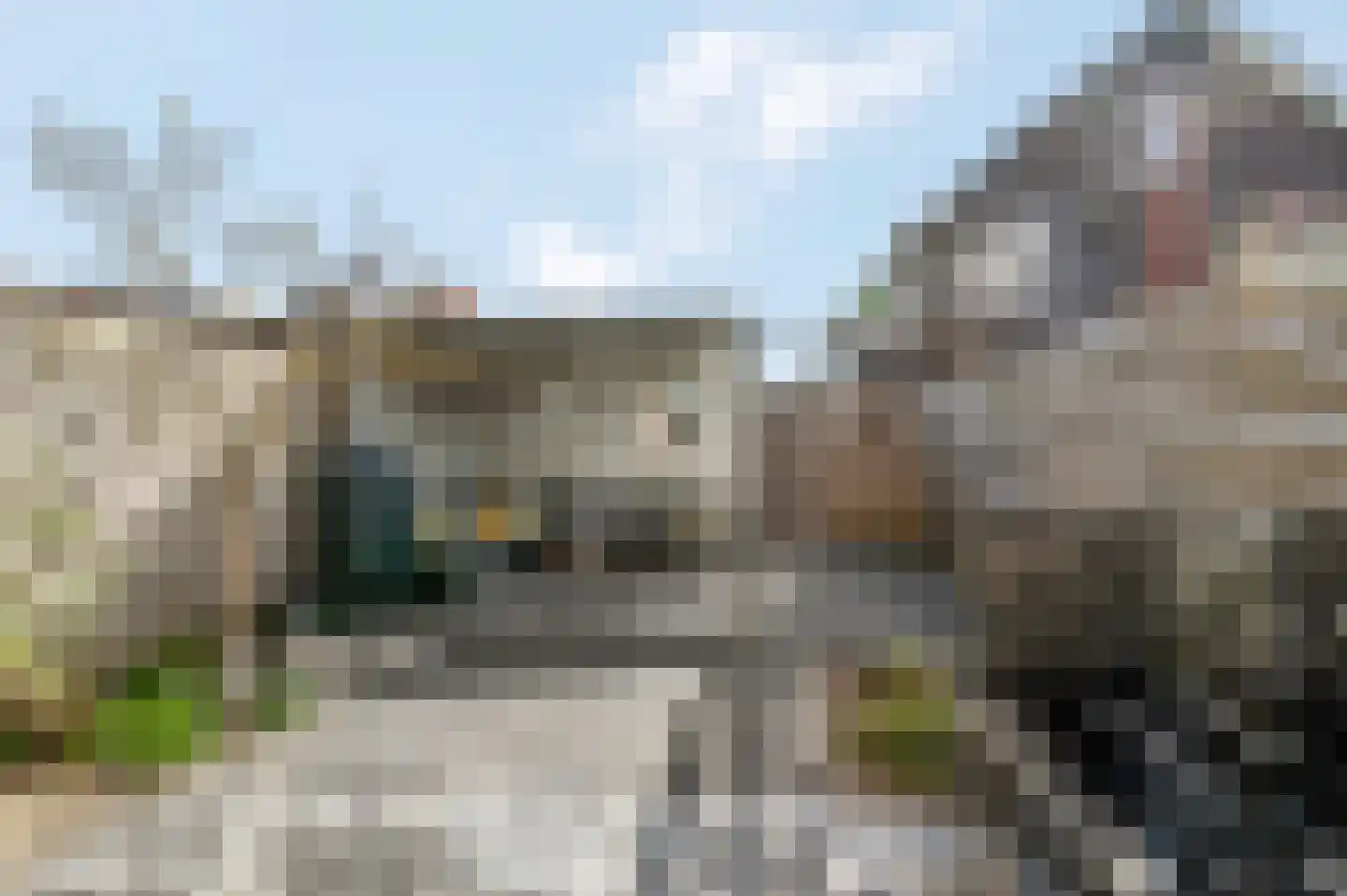 Aardbeivlinder 39 Tiel thumbnail 37