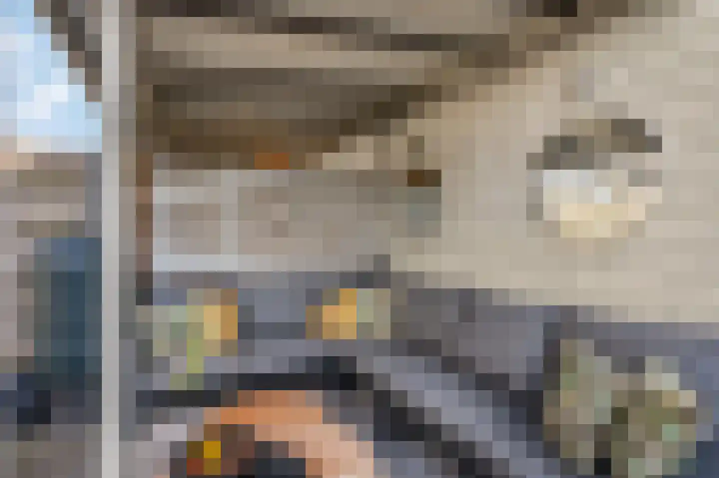 Aardbeivlinder 39 Tiel thumbnail 38