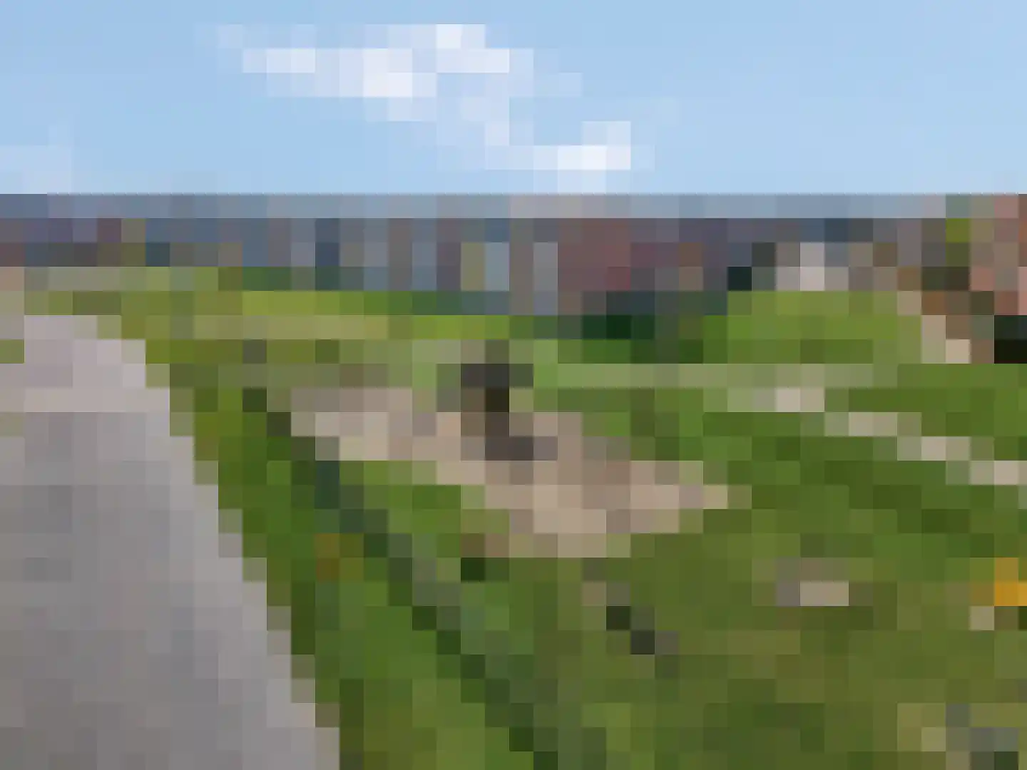 Aardbeivlinder 39 Tiel thumbnail 42
