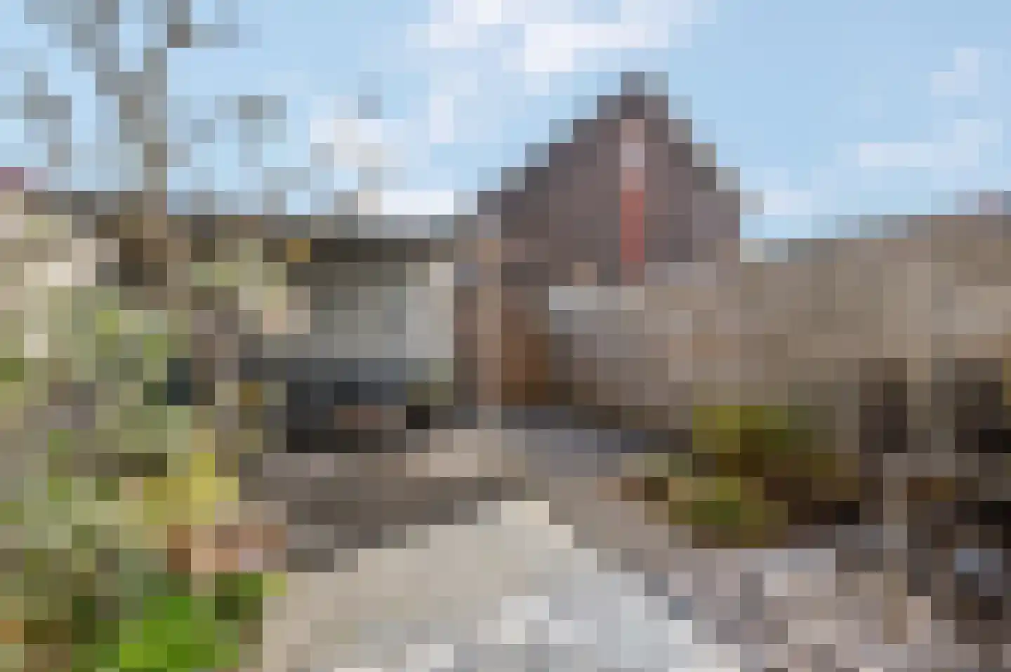 Aardbeivlinder 39 Tiel thumbnail 5