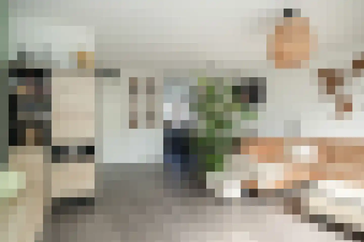 Aardbeivlinder 43 Tiel thumbnail 10