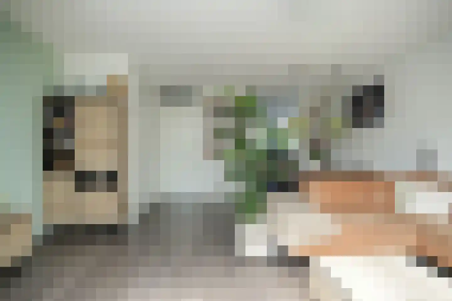 Aardbeivlinder 43 Tiel thumbnail 12