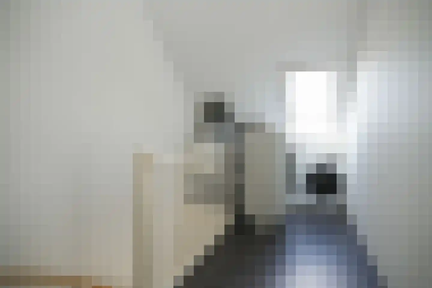 Aardbeivlinder 43 Tiel thumbnail 28