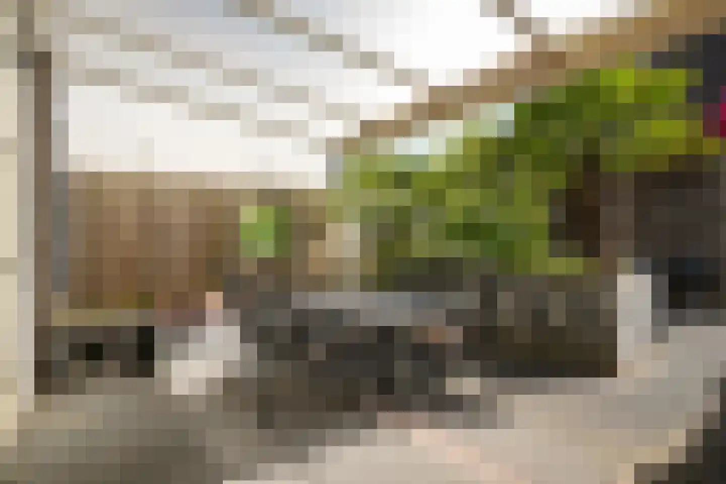 Aardbeivlinder 43 Tiel thumbnail 32