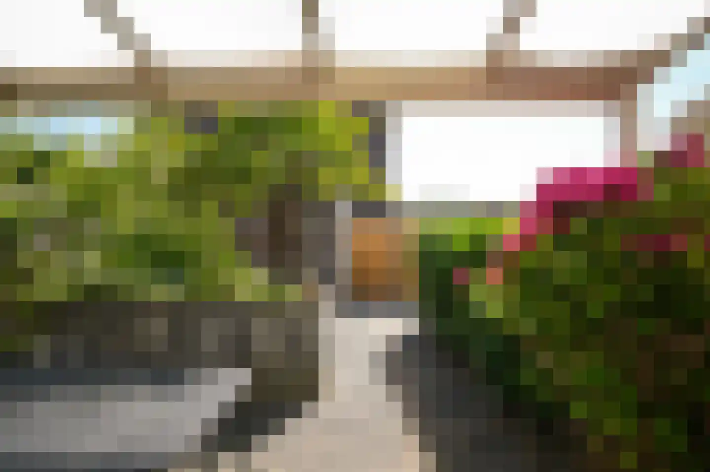 Aardbeivlinder 43 Tiel thumbnail 33