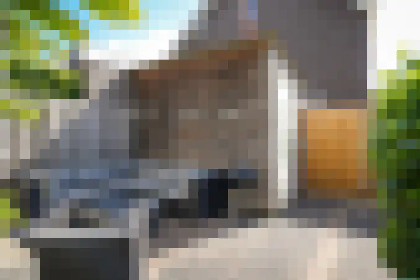 Aardbeivlinder 43 Tiel thumbnail 34