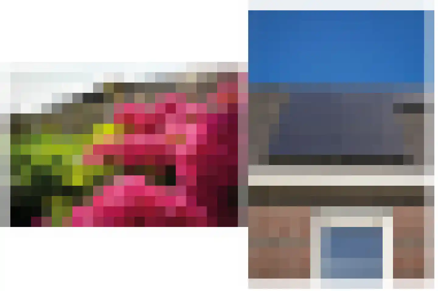 Aardbeivlinder 43 Tiel thumbnail 38