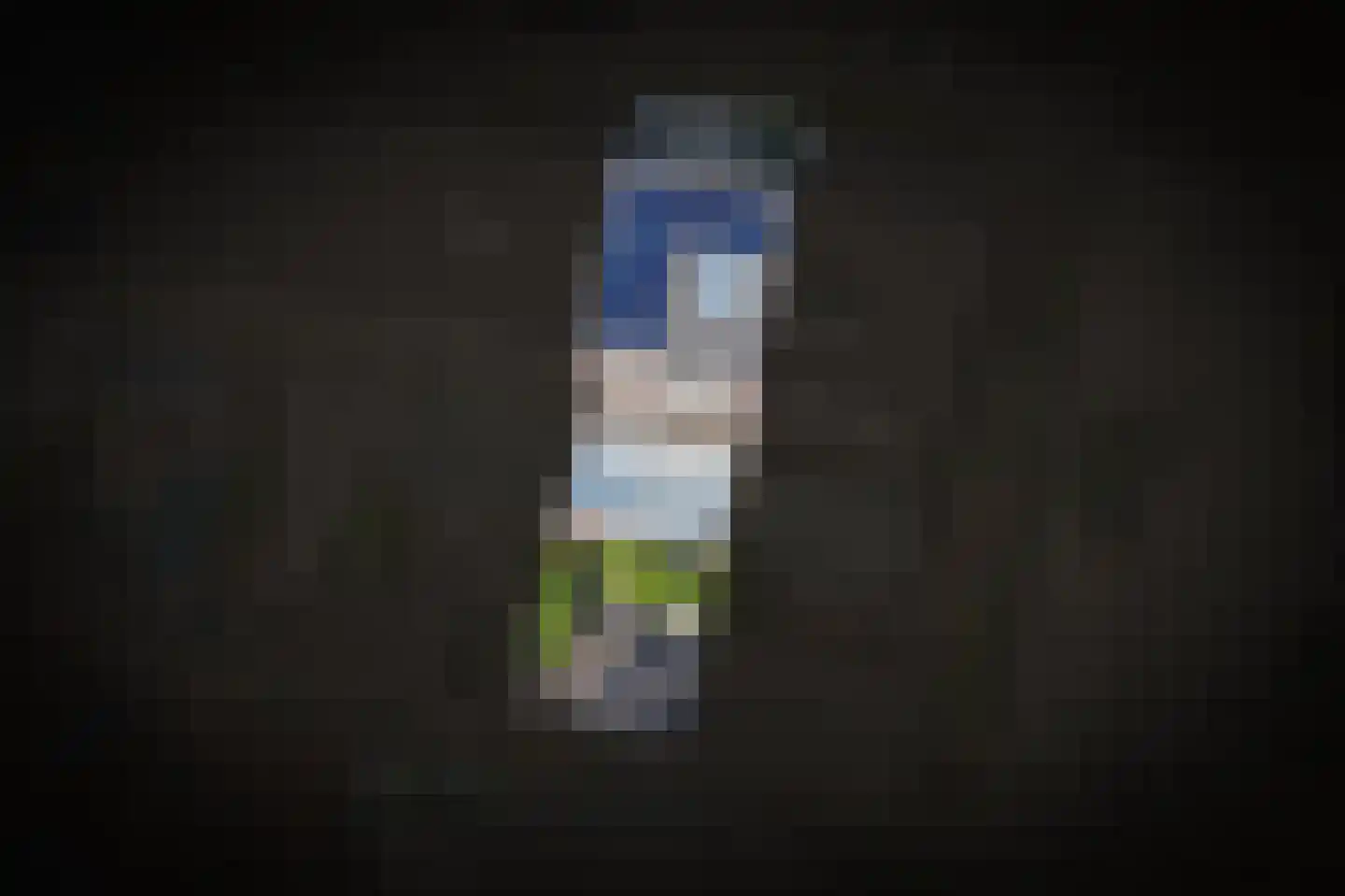 Aardbeivlinder 43 Tiel thumbnail 45