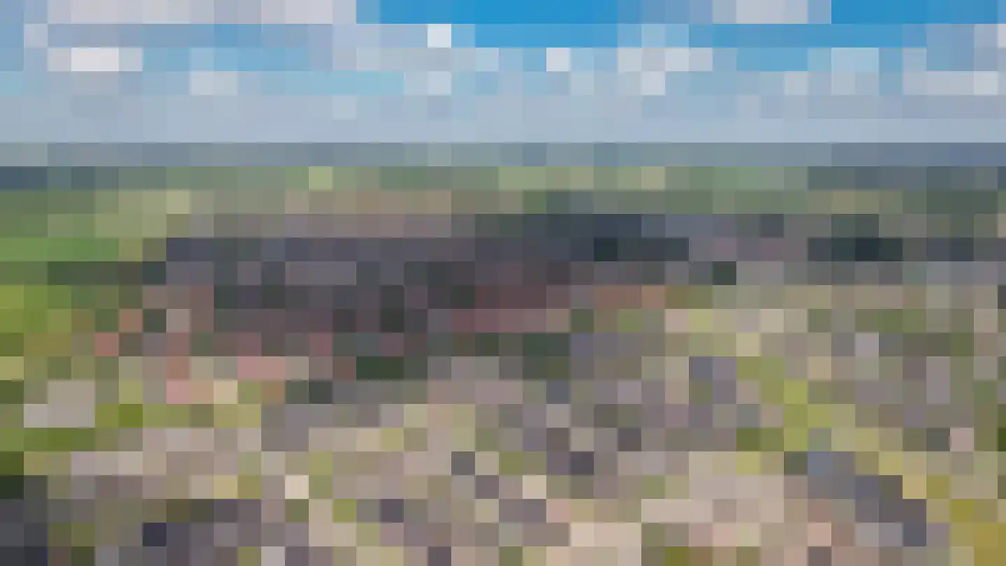 Aardbeivlinder 43 Tiel thumbnail 48