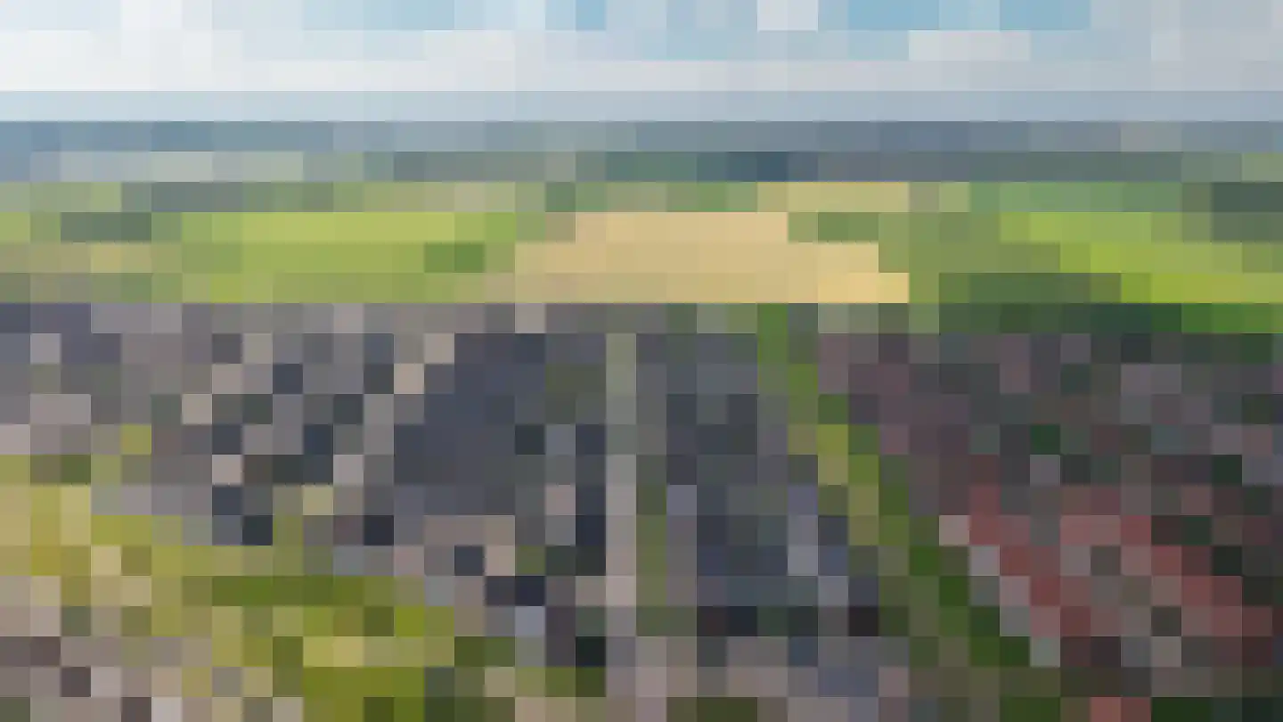 Aardbeivlinder 43 Tiel thumbnail 49