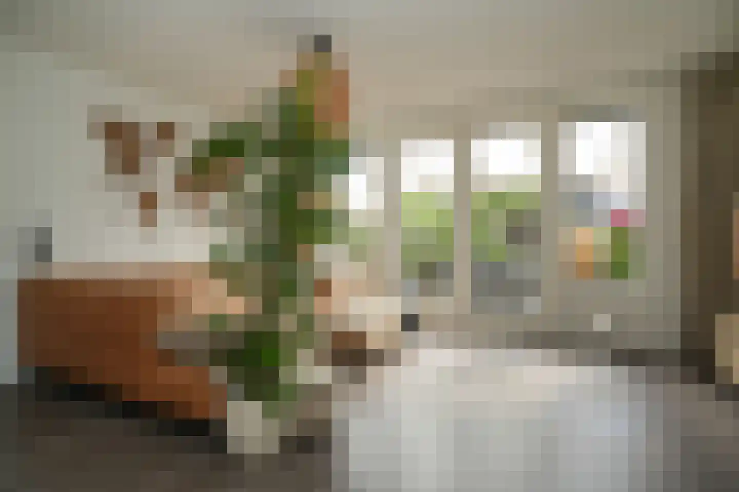 Aardbeivlinder 43 Tiel thumbnail 7