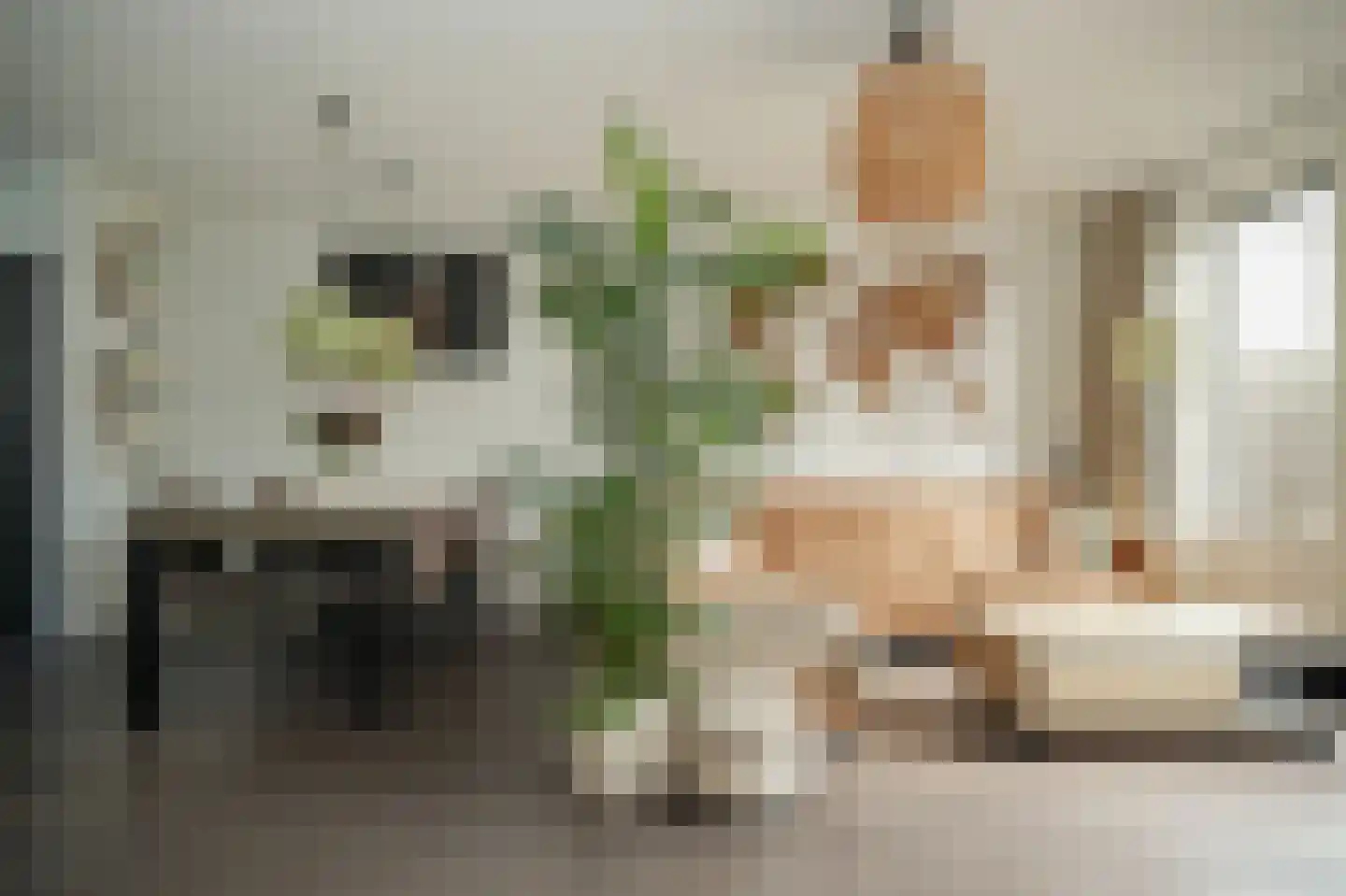 Aardbeivlinder 43 Tiel thumbnail 9