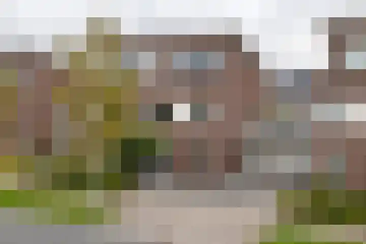 Aardbeivlinder 46 Tiel