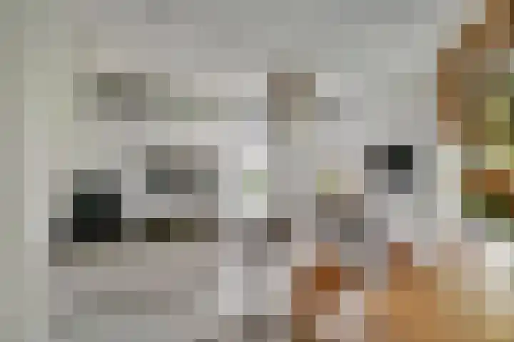 Aardbeivlinder 46 Tiel thumbnail 10
