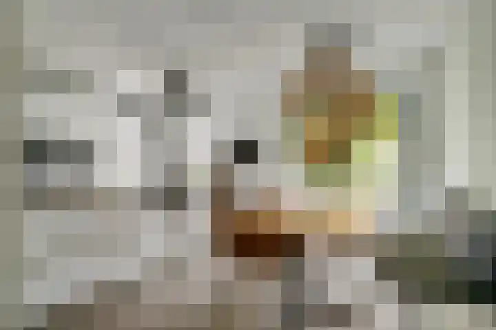 Aardbeivlinder 46 Tiel thumbnail 11