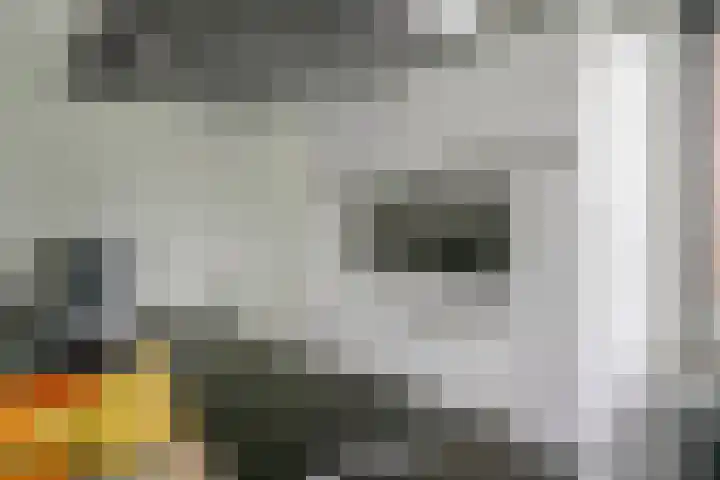 Aardbeivlinder 46 Tiel thumbnail 13