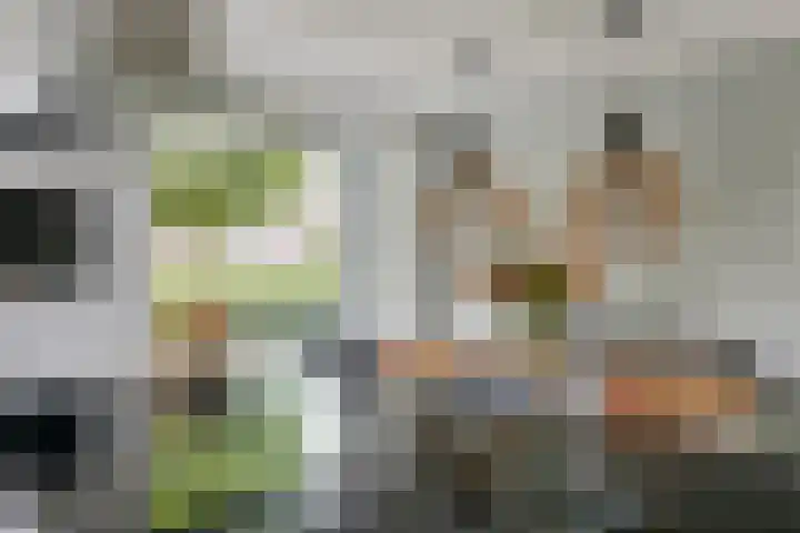 Aardbeivlinder 46 Tiel thumbnail 14