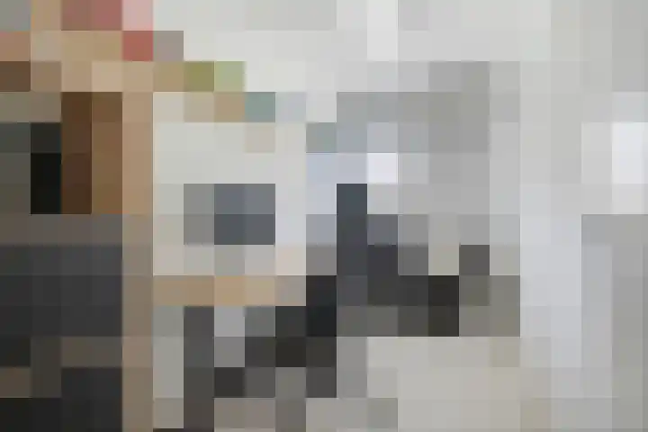 Aardbeivlinder 46 Tiel thumbnail 21