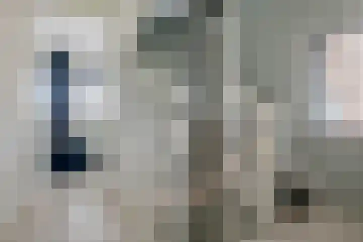 Aardbeivlinder 46 Tiel thumbnail 25