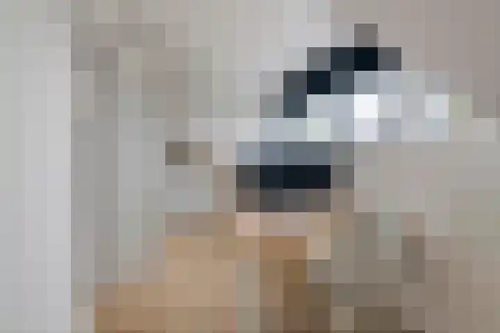 Aardbeivlinder 46 Tiel thumbnail 28