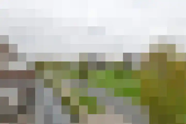 Aardbeivlinder 46 Tiel thumbnail 31
