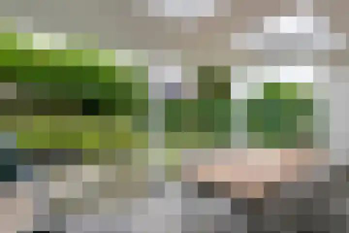 Aardbeivlinder 46 Tiel thumbnail 34