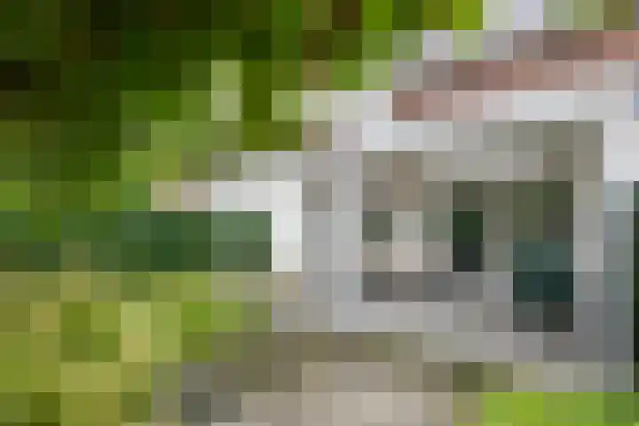 Aardbeivlinder 46 Tiel thumbnail 35