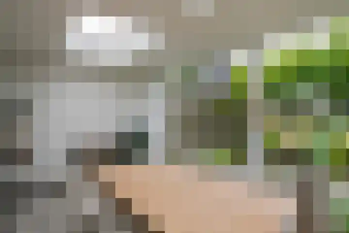 Aardbeivlinder 46 Tiel thumbnail 37