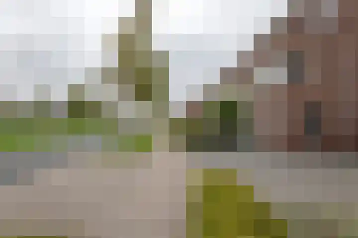 Aardbeivlinder 46 Tiel thumbnail 4