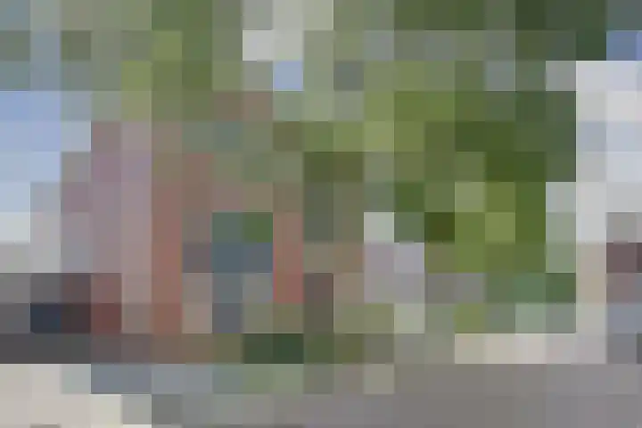 Aardbeivlinder 5 in Hoogeveen